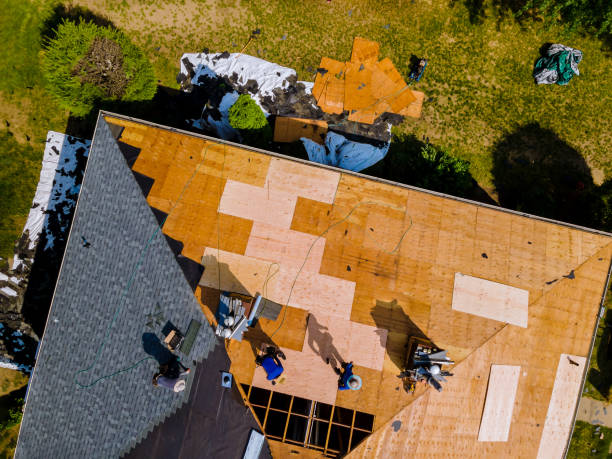 Best Roof Gutter Cleaning  in Mill Neck, NY